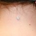 Tattoos - Nape Microdermal - 37350