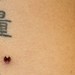 Tattoos - Side Microdermals - 47871