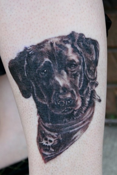 Tattoos - Black and Gray Dog Portrait Tattoo - 50102