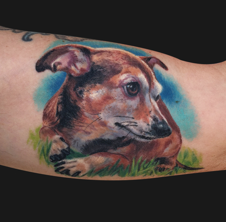 Tattoos - Chiweenie Dog Portrait Tattoo - 98680