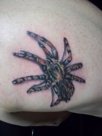 Looking for unique Nature tattoos Tattoos Spider Tattoo