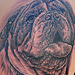 Tattoos - Bulldog  - 47939