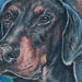 Tattoos - Dobermans - 50110