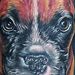 Tattoos - Dog Tattoo - 43157