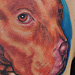 Tattoos - PitBull Tattoo - 53121