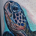 Tattoos - Sea Turtle - 50109