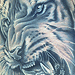 Tattoos - Tiger Tattoo - 24666