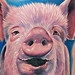 Tattoos - Piggy - 40994