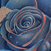 Tattoos - Mike's Rose - 25151