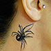 Tattoos - Black Widow Tattoo - 24663