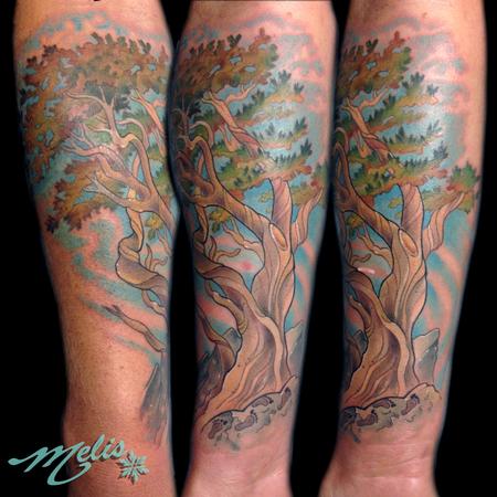 Melissa Fusco - Bristlecone Pine Tree