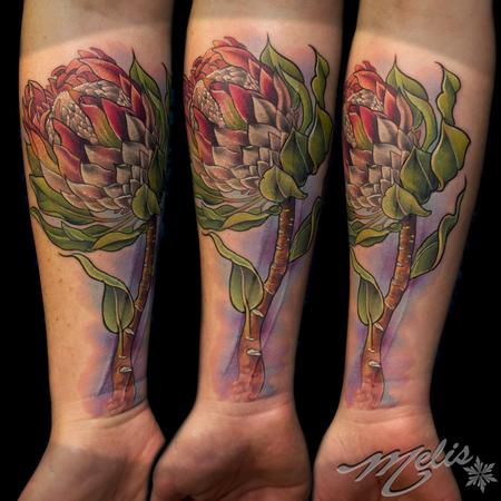 Melissa Fusco - King Protea Flower