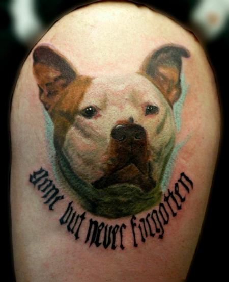 Cesar Perez Tattoos - pitbull color portrait