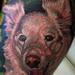 Tattoos - color dog portrait - 72615