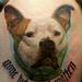 Tattoos - pitbull color portrait - 72513