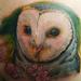 Tattoos - owl color tattoo - 72635