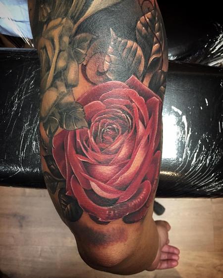 Yarda - Realistic rose in color