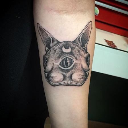 Linn - Two-faced sphynx cat in dotwork