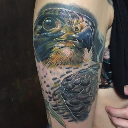 Tattoos - Realistic Falcon in Color - 127643