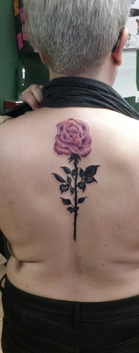 Tattoos - Rose in Color - 126602