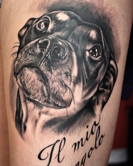 Yarda - Dog portrait black and grey