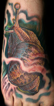 Nate Beavers - Snail Foot Tattoo