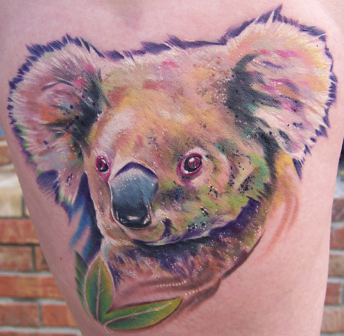 Color In Koala