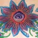 Tattoos - All Seeing Flowers - 11780