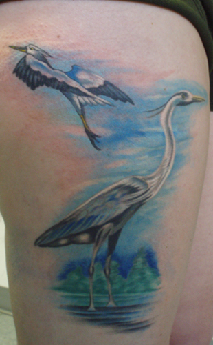 Jamie Cross - Great Blue Heron 2