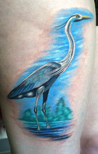 Jamie Cross - Great Blue Heron