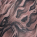 Tattoos - Phoenix - 20993