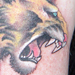 Tattoos - Uh....lion - 14281