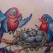 Tattoos - Robins - 43616