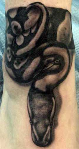 Carlos Rojas - Snake Ankle Wrap