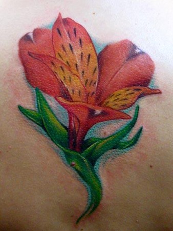 Tattoos - Lilly Tattoo - 38586