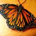 Tattoos - Monarch Butterfly Tattoo - 66073