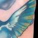 Tattoos - hummingbirds are cool - 79559