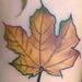 Tattoos - fall leaf - 80567