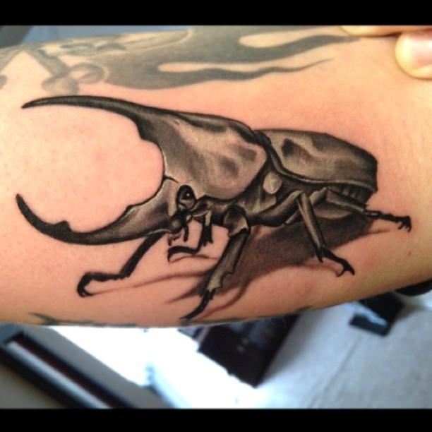 Black and Gray Rhinoceros Beetle by David Mushaney : Tattoos