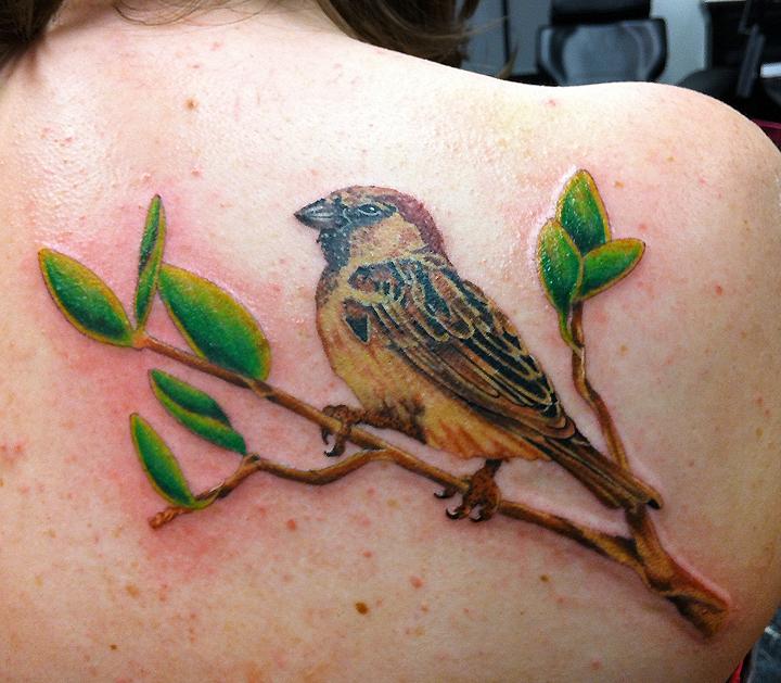 Bird On Branch By Curtis Tattoonow 9272