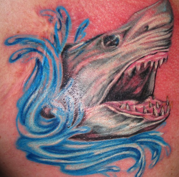 Tattoos - Shark - 50218