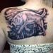 Tattoos - wolf fighting  - 75504