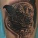 Tattoos - Dog Portrait - 91706