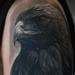 Tattoos - Eagle Space Lake Tattoo - 95211