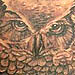 Tattoos - Owl Tattoo - 20478