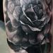 Tattoos - Rose Tattoo - 61957