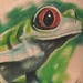 Tattoos - Tree Frog - 52339