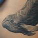 Tattoos - Whale Tattoo - 91710