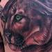 Tattoos - COUGAR - 59803