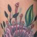 Tattoos - FLOWERS - 54638